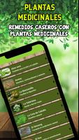 برنامه‌نما 🍃 Remedios Caseros 🍃 - Plantas Medicinales 🌱 عکس از صفحه