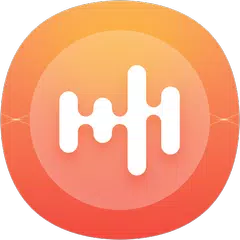 Lite Recorder - High quality Voice Recorder APK download