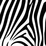 Zebra One Gallery - Contemporary Art For Sale ikon