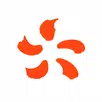PowerFlex APK