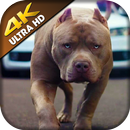 Pitbull Dog Wallpapers - Pitbull Wallpaper Puppies APK