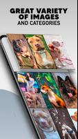 Pitbull Dog Wallpapers - Pitbull Wallpaper Puppies screenshot 2