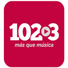 Radio FM 102.3 Córdoba icône