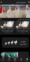 مشروع دواجن تصوير الشاشة 1