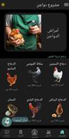 مشروع دواجن تصوير الشاشة 2