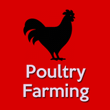 Poultry Farming - Chicken Farm - Chicken Egg Farm icône