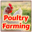 ”Poultry Farming - Chicken Farm