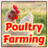 Poultry Farming ícone