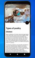 Poultry Farming syot layar 2