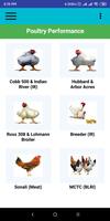 Poultry Performance Plakat