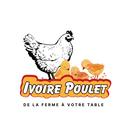 APK Ivoire Poulet