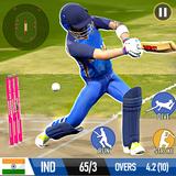 Cricket Game: Bat Ball Game 3D icône