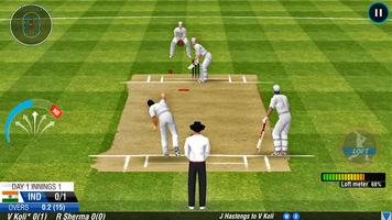 Cricket Game: Bat Ball Game 3D Affiche