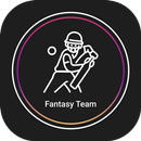 DD11 - Fantasy Team Prediction APK