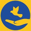 Life Pluse icon