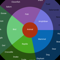Mind Map 5