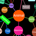Mind Map 6