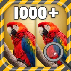 Find The Differences :Pic game XAPK download