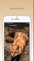 Cute Fox wallpapers HD poster