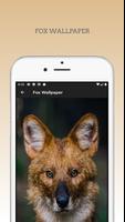 Cute Fox wallpapers HD screenshot 2