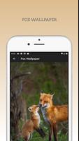 Cute Fox wallpapers HD screenshot 3