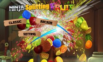 Ninja Splitting fruit Affiche