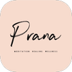 Prana Healing and Wellness