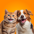 Pet Together: Play With Pets APK