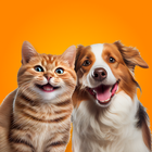 Pet Together: Play With Pets simgesi