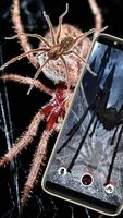 Spider Prank Video Call постер