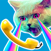 Prunk Call App APK