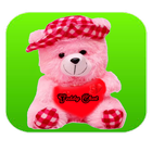 Teddy Chat icône