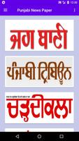 Punjabi News Papers - ePapers screenshot 1