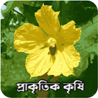 Prakritik Krishi 图标