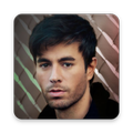Puzzle Enrique Iglesias