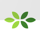 Nature Sounds - Relax Wind APK