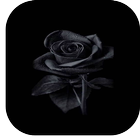 Black Wallpaper ícone