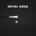 Matrix Snake