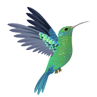 Suara pikat burung kolibri ampuh dan lengkap icon