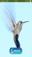 Suara pikat burung kolibri ampuh dan lengkap poster