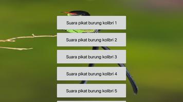 Suara pikat burung kolibri ampuh dan lengkap ảnh chụp màn hình 2