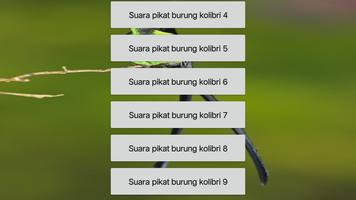 Suara pikat burung kolibri ampuh dan lengkap ảnh chụp màn hình 3