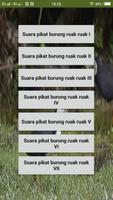 Suara pikat burung ruak ruak 截图 1