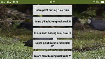 Suara pikat burung ruak ruak 截图 3