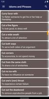 Idioms and Phrases screenshot 1