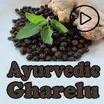 Ayurvedic Gharelu Upchar Aur Ilaj Hindi Videos APK