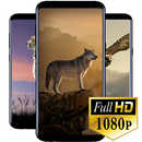 Animal Wallpaper HD-APK