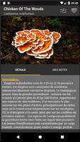 Suivi des champignons Pro Affiche