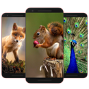 APK Animal Wallpaper HD