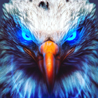 Fondo De Pantalla De Águila HD icono